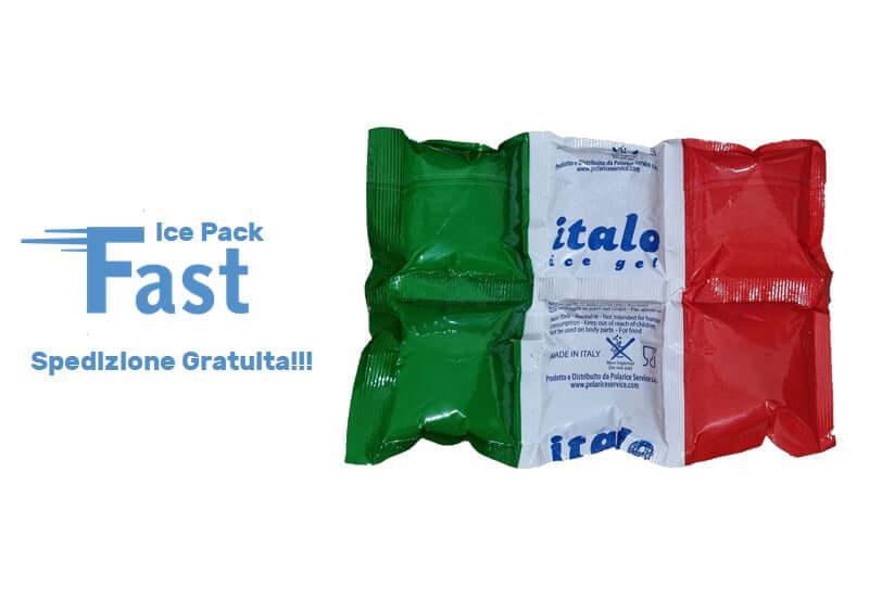 ECO FAST ICE PACK 305 DA 220 GRAMMI - Polarice Service