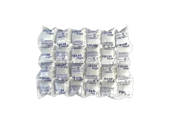 ECO FAST ICE PACK 303 PANETTO DA 880 GRAMMI - Polarice Service