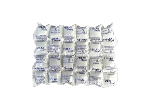 ECO FAST ICE PACK 303 PANETTO DA 880 GRAMMI - Polarice Service