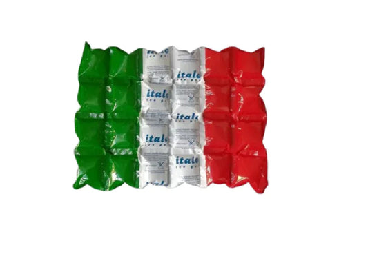 ECO FAST ICE PACK 303 PANETTO DA 880 GRAMMI - Polarice Service