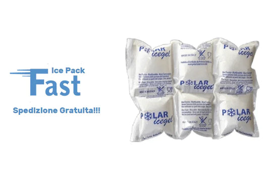 ECO FAST ICE PACK 305 DA 220 GRAMMI - Polarice Service