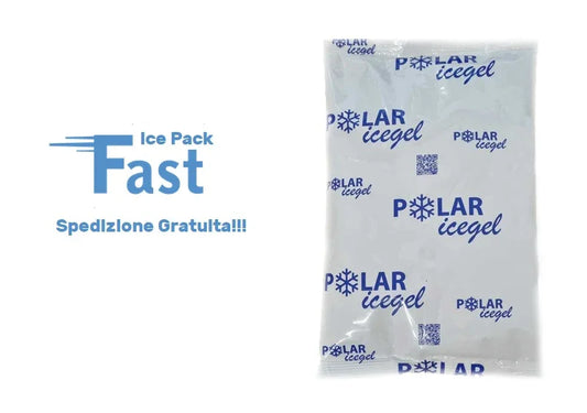 ECO FAST ICE PACK G740 DA 740 GRAMMI - Polarice Service