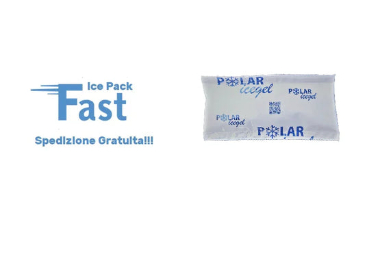 ECO FAST ICE PACK G100 DA 100 GRAMMI - Polarice Service