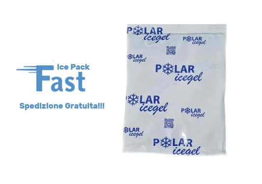 ECO FAST ICE PACK G250 DA 250 GRMMI - Polarice Service