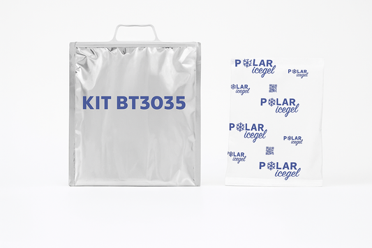 Sacs isothermes 30×35 avec poignée - Kit de 10 pièces + glace synthétique